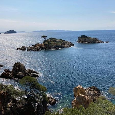 Atelierchic Bed & Breakfast Le Lavandou Ngoại thất bức ảnh