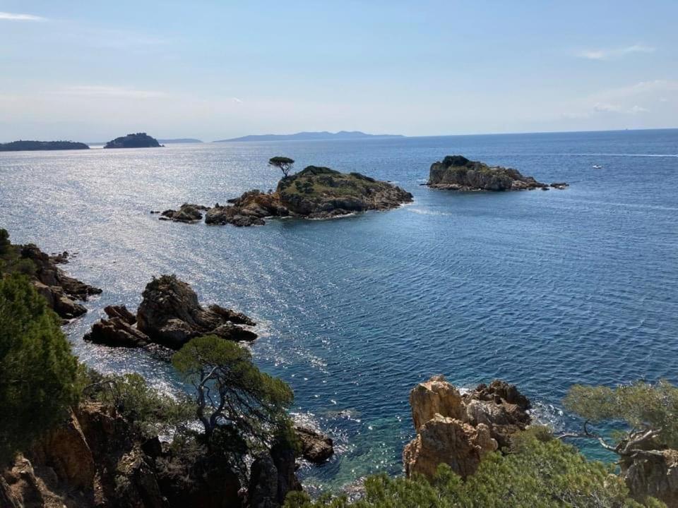 Atelierchic Bed & Breakfast Le Lavandou Ngoại thất bức ảnh